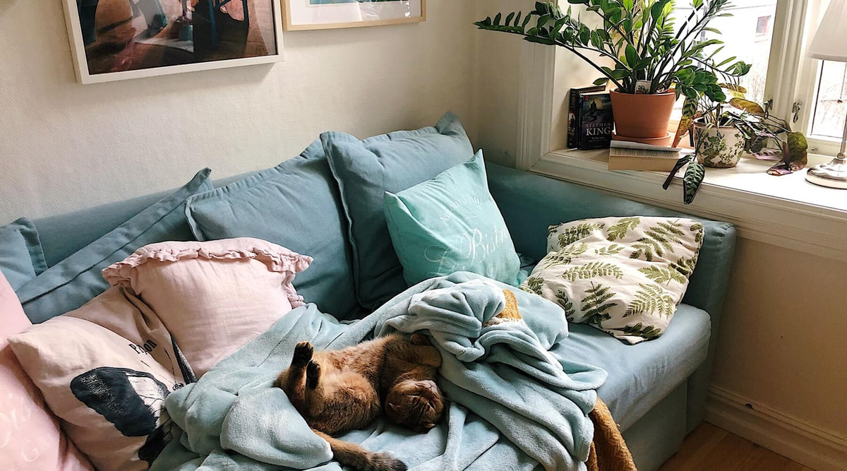 A cat is curled up on a light blue sofa covered with a blanket, making one consider the best couch materials for cat owners