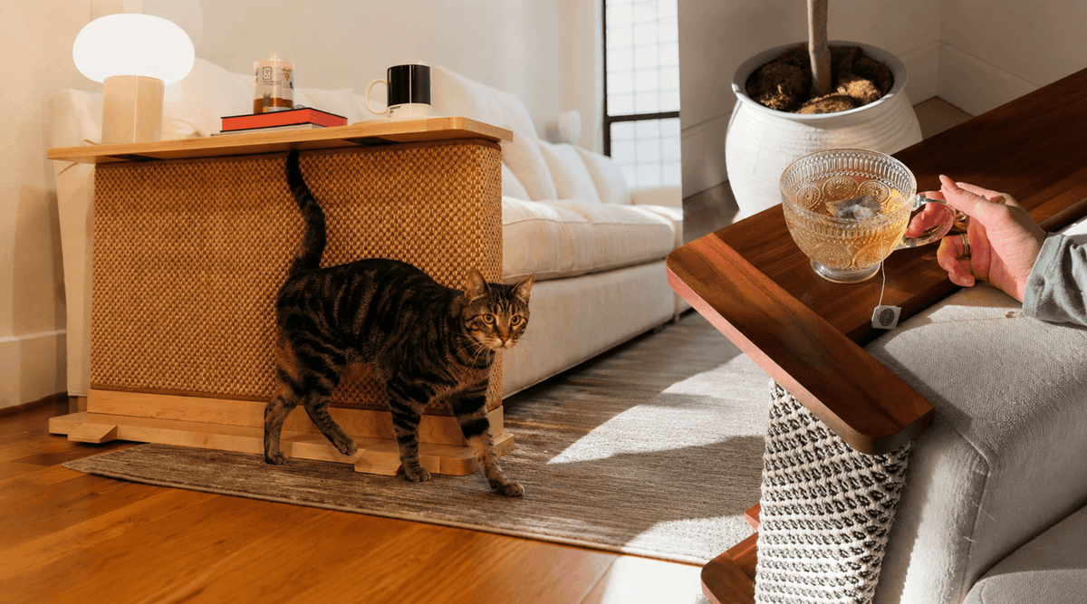 A cat walking near a stylish sofa-arm attachment, showcasing functional modern cat scratchers