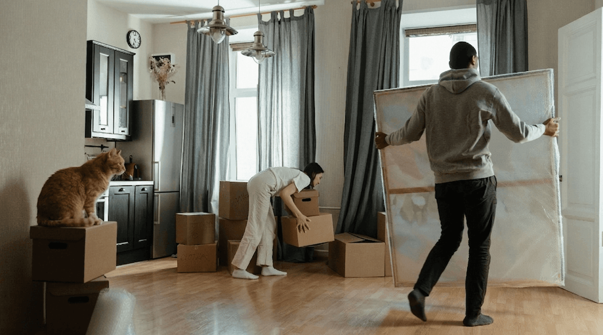 A couple packing boxes while an orange cat sits on top, a strategy for moving house with a cat keep scratching under control