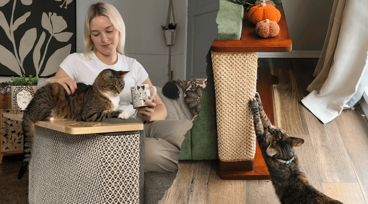 A split image shows a woman petting her cat on a Cat-e-Corner and another cat using a minimalist cat scratcher, a minimalist cat product for 2026