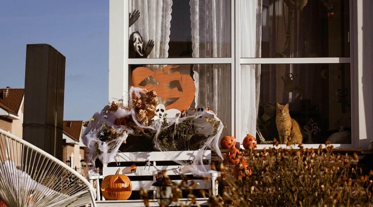 An orange cat sitting in a window surrounded by spooky ornaments, a perfect cat ready for Halloween decorations