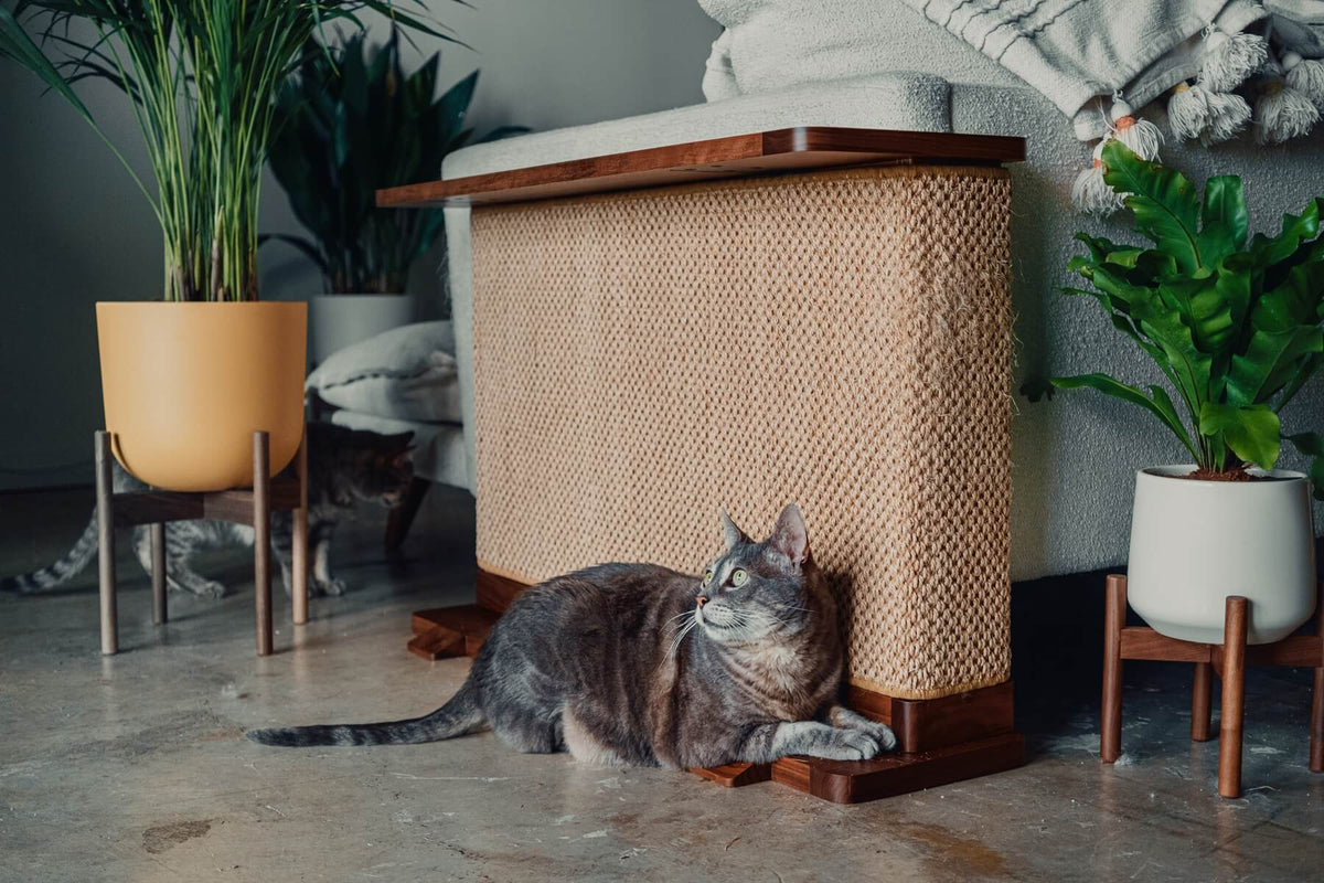 Cats interacting with a wooden cat scratch furniture protector with a woven scratching surface