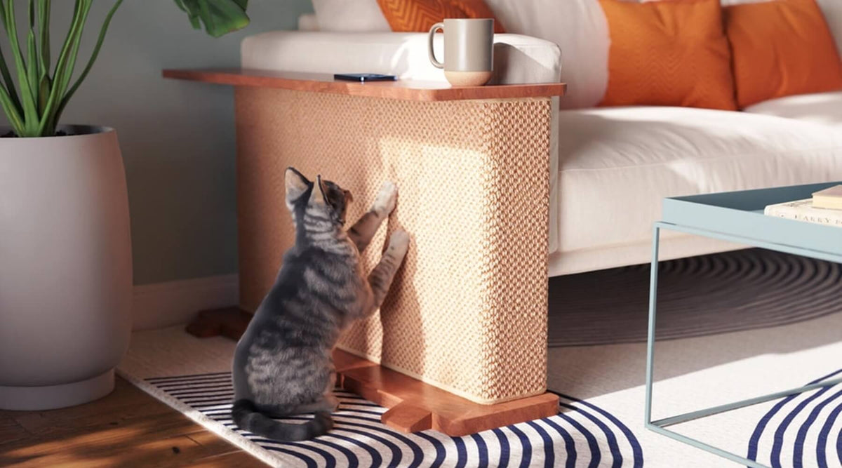 A grey kitten scratching a sisal-covered cat-e-corner attached to a side table, showcasing the best sofa protector for cats.