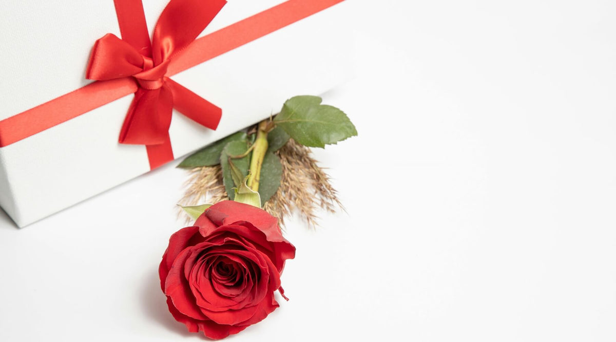 Valentine’s Day gift for cat lovers
